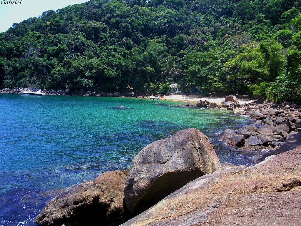 praia das couves ubatuba