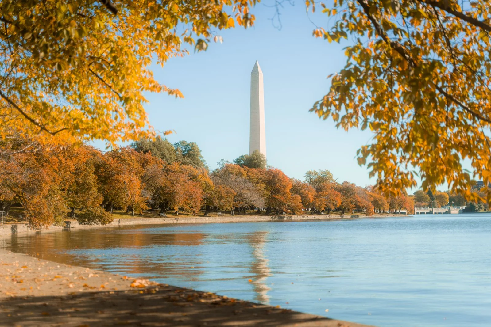 Capital americana renova museus e dinamiza turismo no outono