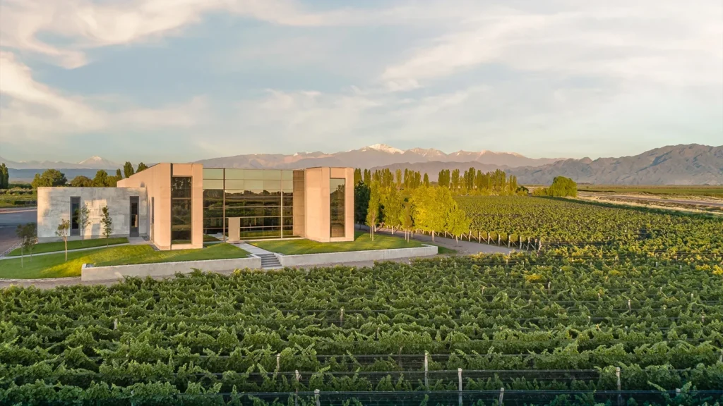 Grand Cru reduz preço de vinhos importados em até 60% em novembro