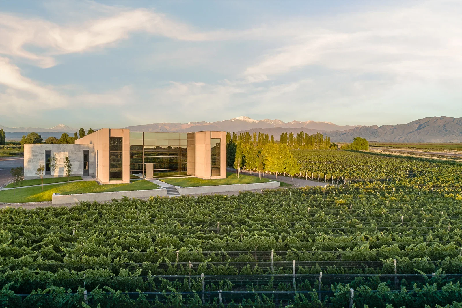 Grand Cru reduz preço de vinhos importados em até 60% em novembro