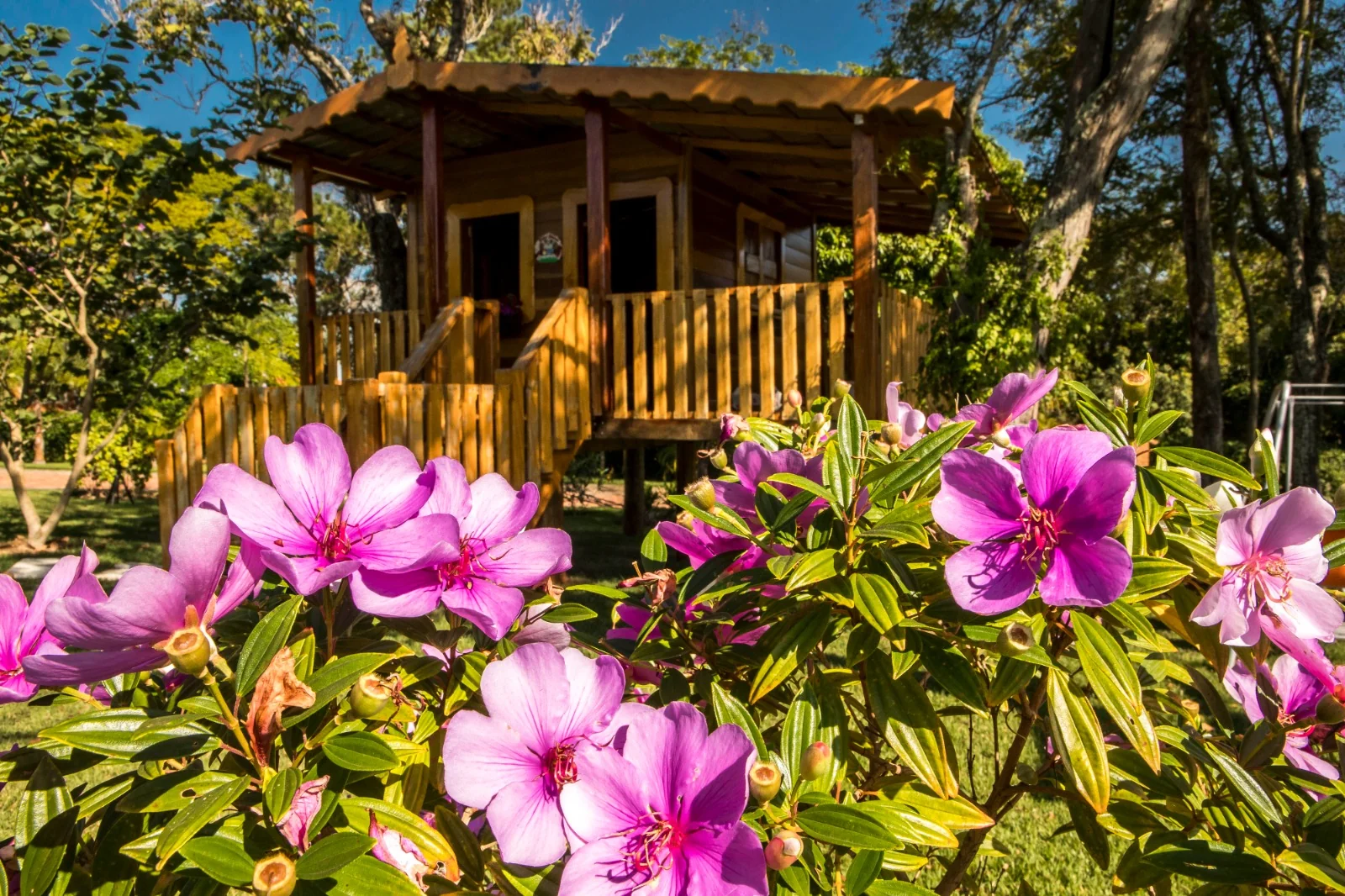 Resort no Parana cria roteiro de primavera sem telas para familias