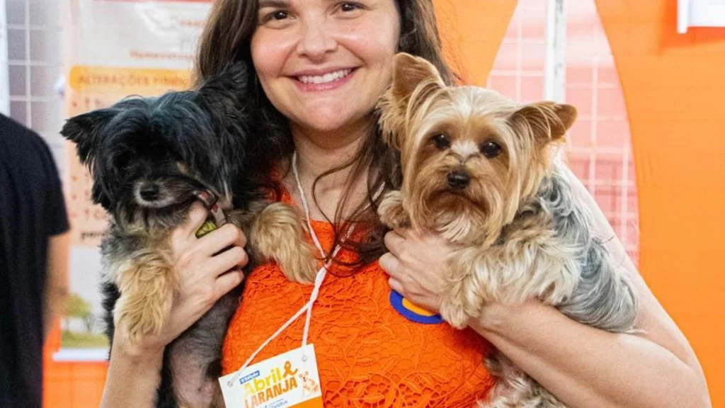 Triagem gratuita avalia câncer de mama em cadelas e gatas