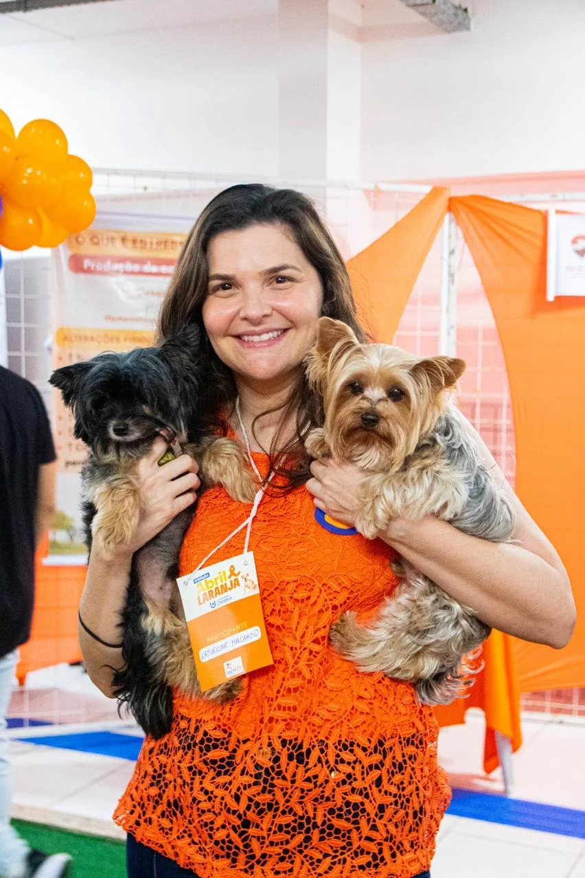Triagem gratuita avalia câncer de mama em cadelas e gatas